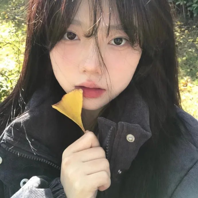 城市姐妹